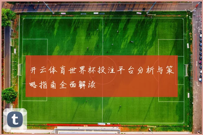 开云体育世界杯投注平台分析与策略指南全面解读