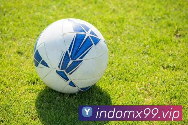 开云官网平台生态图