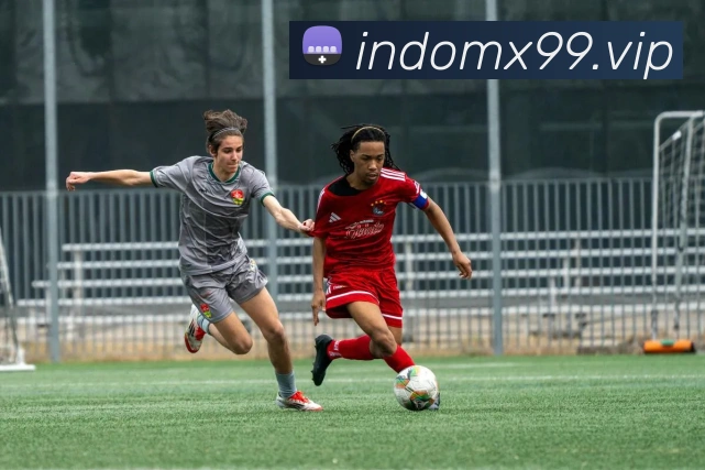 开云官网APP 封面图